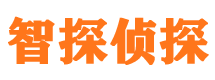 西工寻人公司